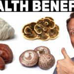 4 Mushrooms’ Amazing Benefits