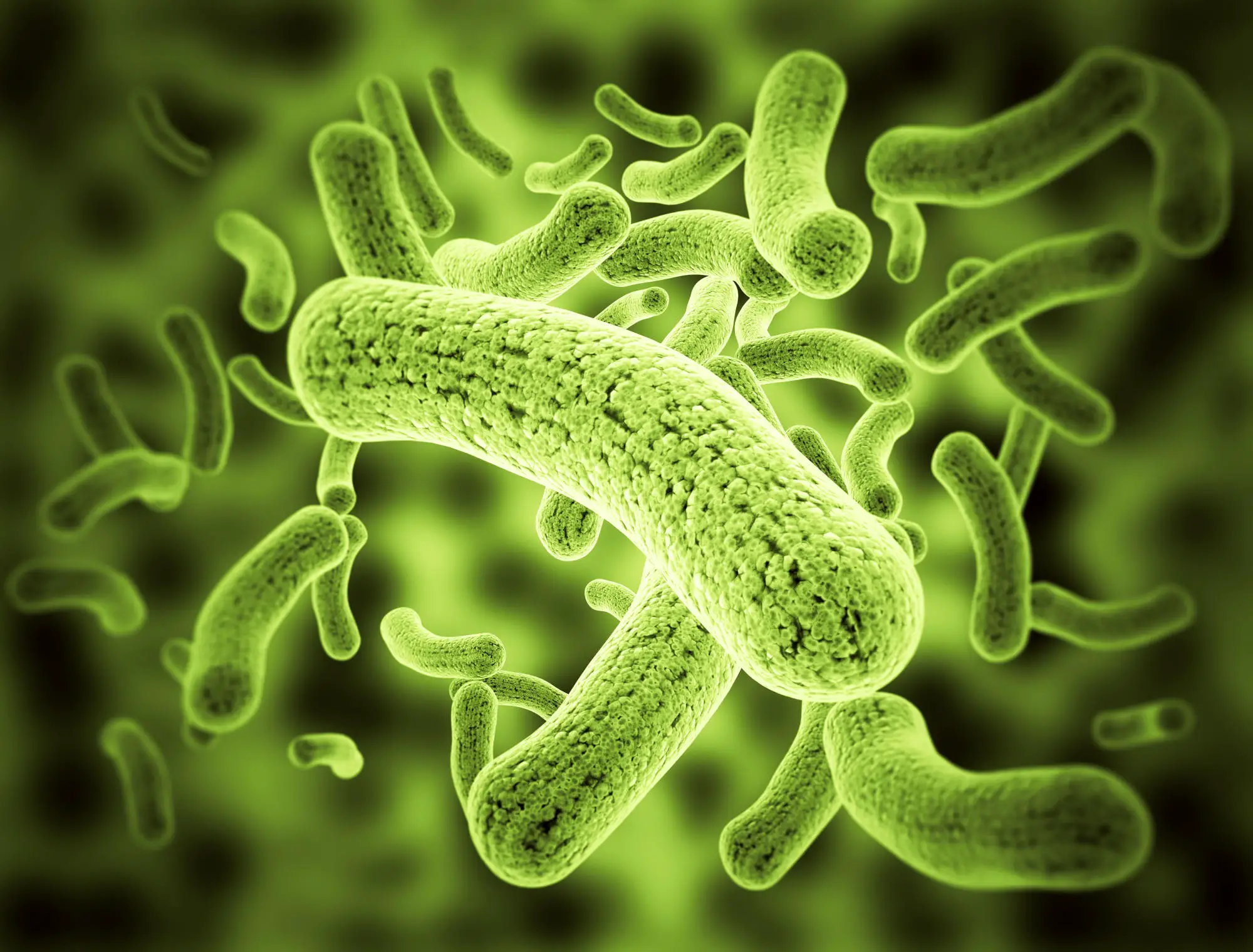 Awaken Dormant Bacteria with Med. Interventions