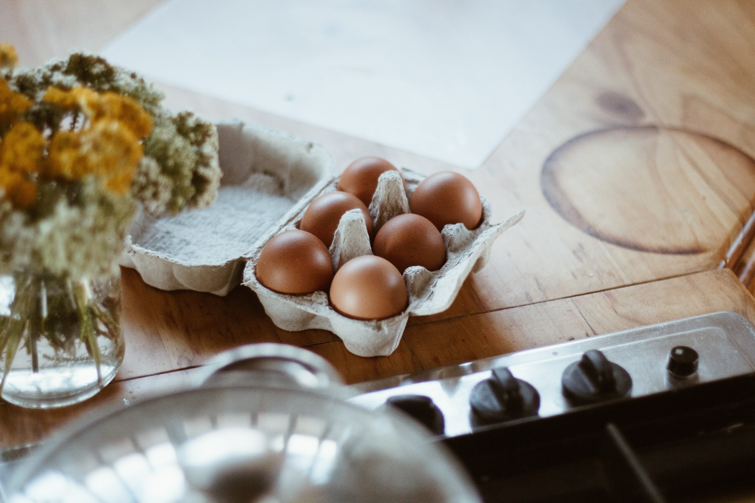 Which Is The Best Egg Cooker?