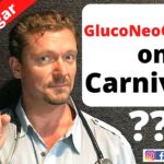 Carnivore Diet: Excess Protein = Glucose?