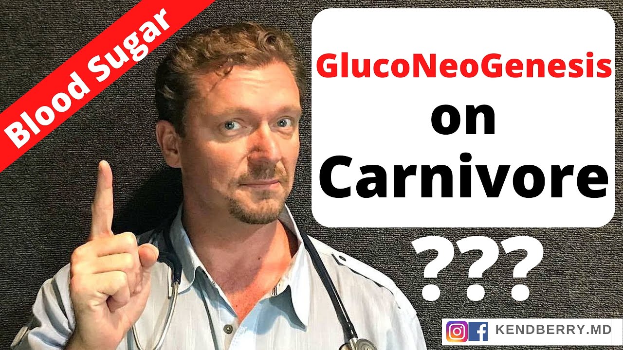 Carnivore Diet: Excess Protein = Glucose?