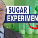 Sugar’s Impact on Gut – Gundry MD