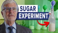 Sugar’s Impact on Gut – Gundry MD