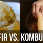 Kombucha: Weight Loss Reality or Myth? – Thomas DeLauer