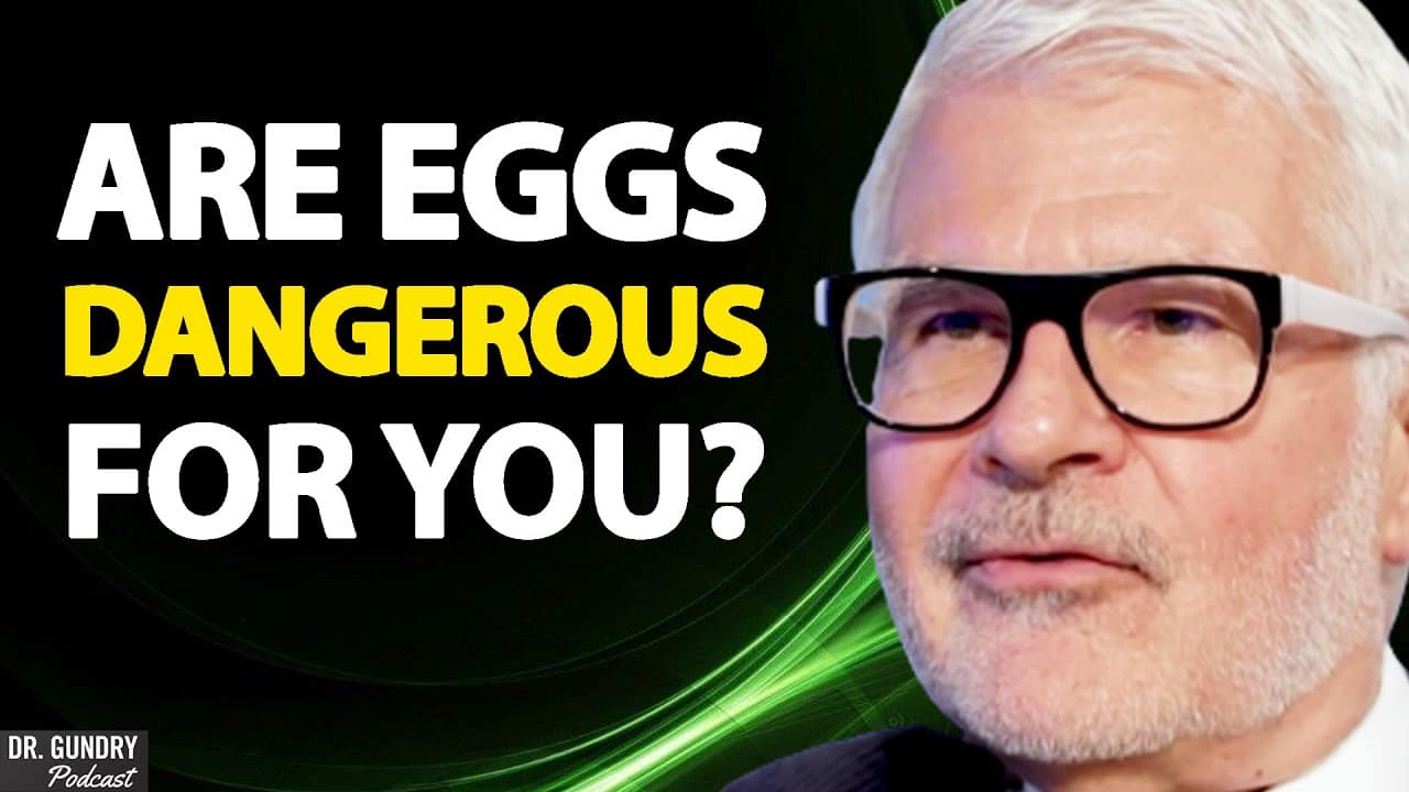 Are Daily Eggs Harmful? | Dr. Gundry Q&A