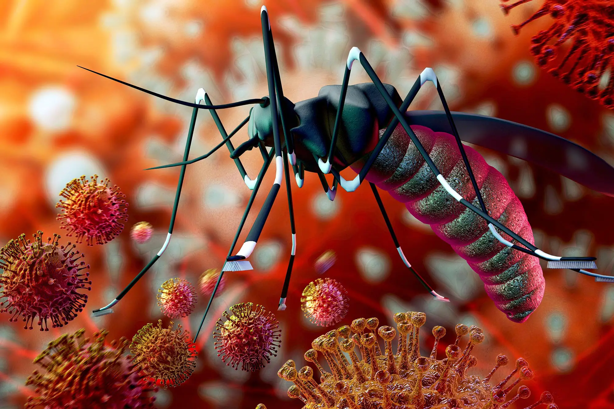 Innovative Drug Prevents Malaria