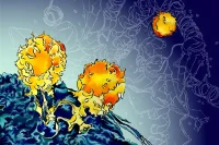 MIT’s Cancer Immunotherapy Revolutionized.