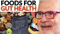 Top Foods for Better Gut Health by Dr. Steven Gundry