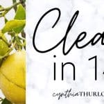 Clean in 14 Masterclass: Expert Tips for Effective Cleaning