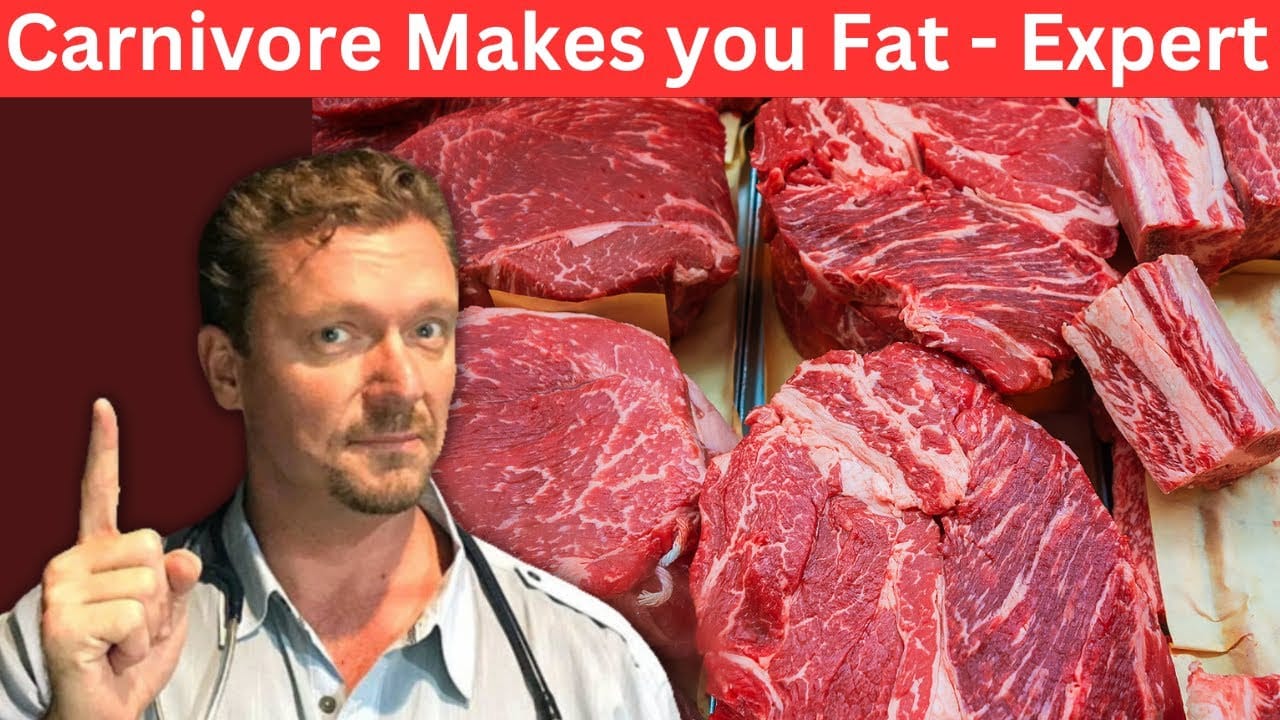 Carnivore Diet Causes Belly Fat – Real Expert(s) Uncover…