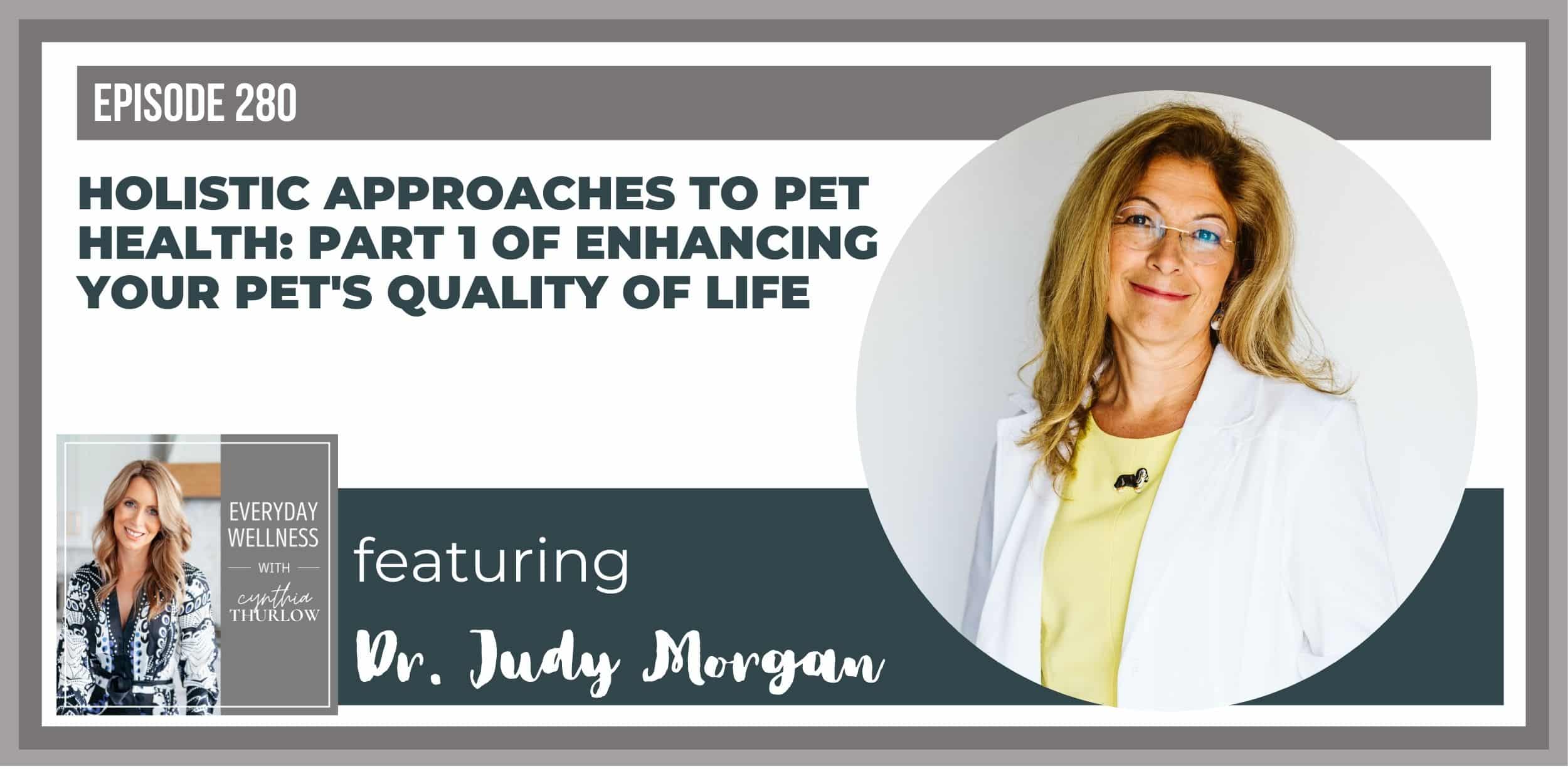 Ep. 280: Holistic Approaches to Pet Health with Dr. Judy Morgan