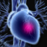 Scientists Discover New Cause of Heart Failure in Children – Successfully Reversing the Effects