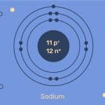 Importance of Sodium on a Quick Pace