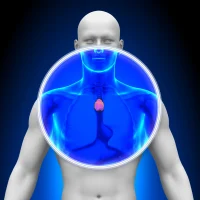 Is Your Thymus Saving Your Life?