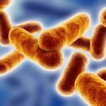 New Method Treats Deadly Disease Past Critical Stage