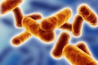New Method Treats Deadly Disease Past Critical Stage