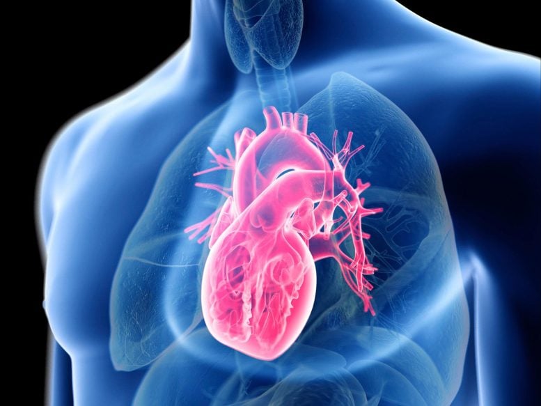 New Study Finds ADHD Meds May Increase Heart Rate: Concerns?