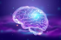 Weightlifting Slows Brain Aging and Guards Against Alzheimer’s