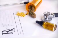 Medicinal Cannabis: A Year of Relief for Pain, Sleep, and Mind