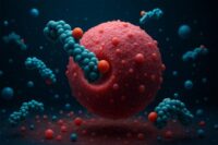 A Cell Strategy Enhancing Cancer Drugs’ Potency by 23x