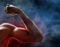 Building Muscle Without Meat: What Scientists Reveal