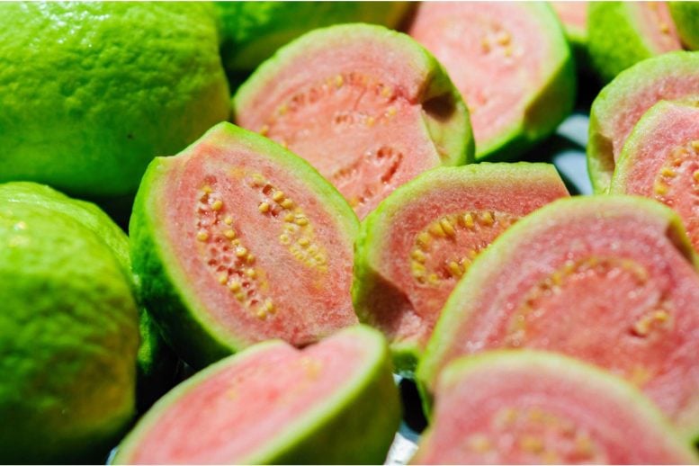 Scientists Identify Bioactive Plants With Anti-Cancer Properties