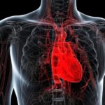 Is Your Heart Aging Faster Than You Think? Assess Your Risk