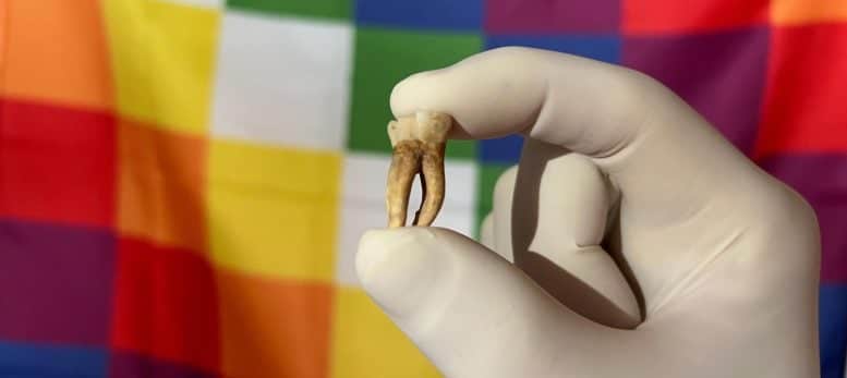 Ancient DNA Shows Pre-Columbian Leprosy in America