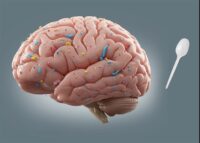 Microplastics Found in Brain: Potential Link to Depression, Dementia