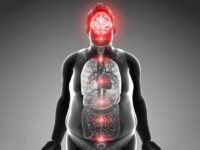 Diet’s Impact on the Brain: Study Links Fat to Anxiety