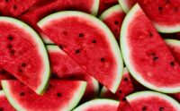 30 Foods You Can Enjoy Freely Without Gaining Weight