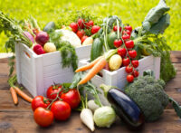Top 10 High-Fiber Vegetables for Weight Loss