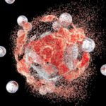Tiny Genetic Flaw Cripples Deadly Cancers