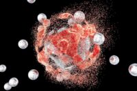 Tiny Genetic Flaw Cripples Deadly Cancers