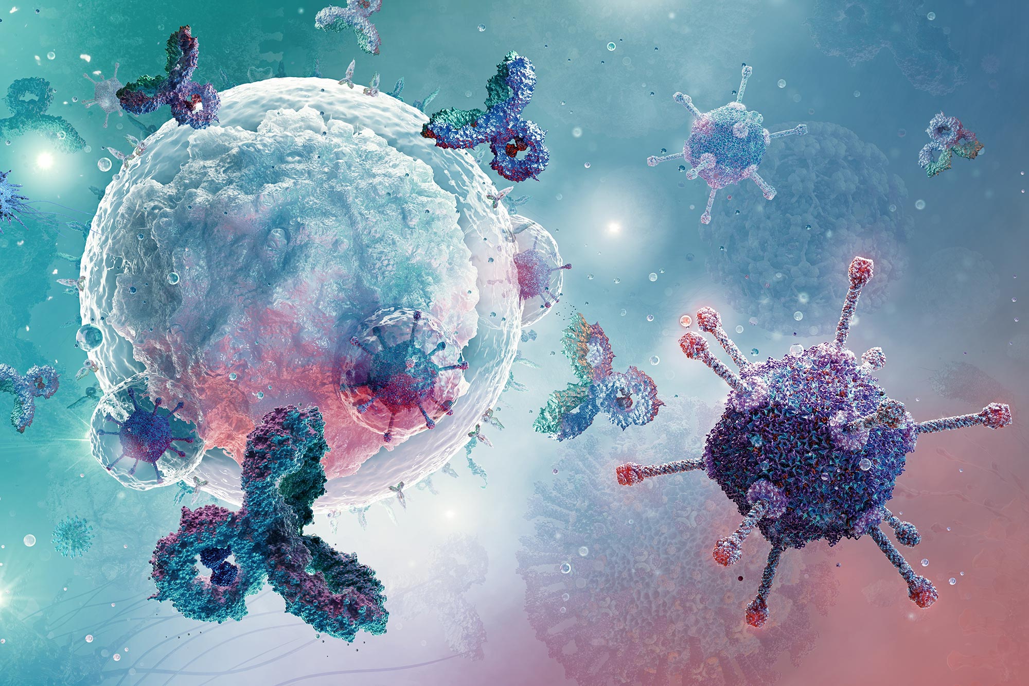 Restricted Blood Flow Accelerates Cancer Growth, Study Reveals