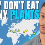 This City Holds the World’s Longest Lifespan: Discover Their Diet