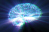 Understanding the First Brain Circuit Collapse in Alzheimer’s