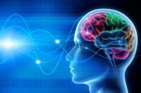 Brainwave Test Detects Alzheimer’s Years Ahead