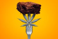 Cannabis Use May Quadruple Diabetes Risk, Study Indicates