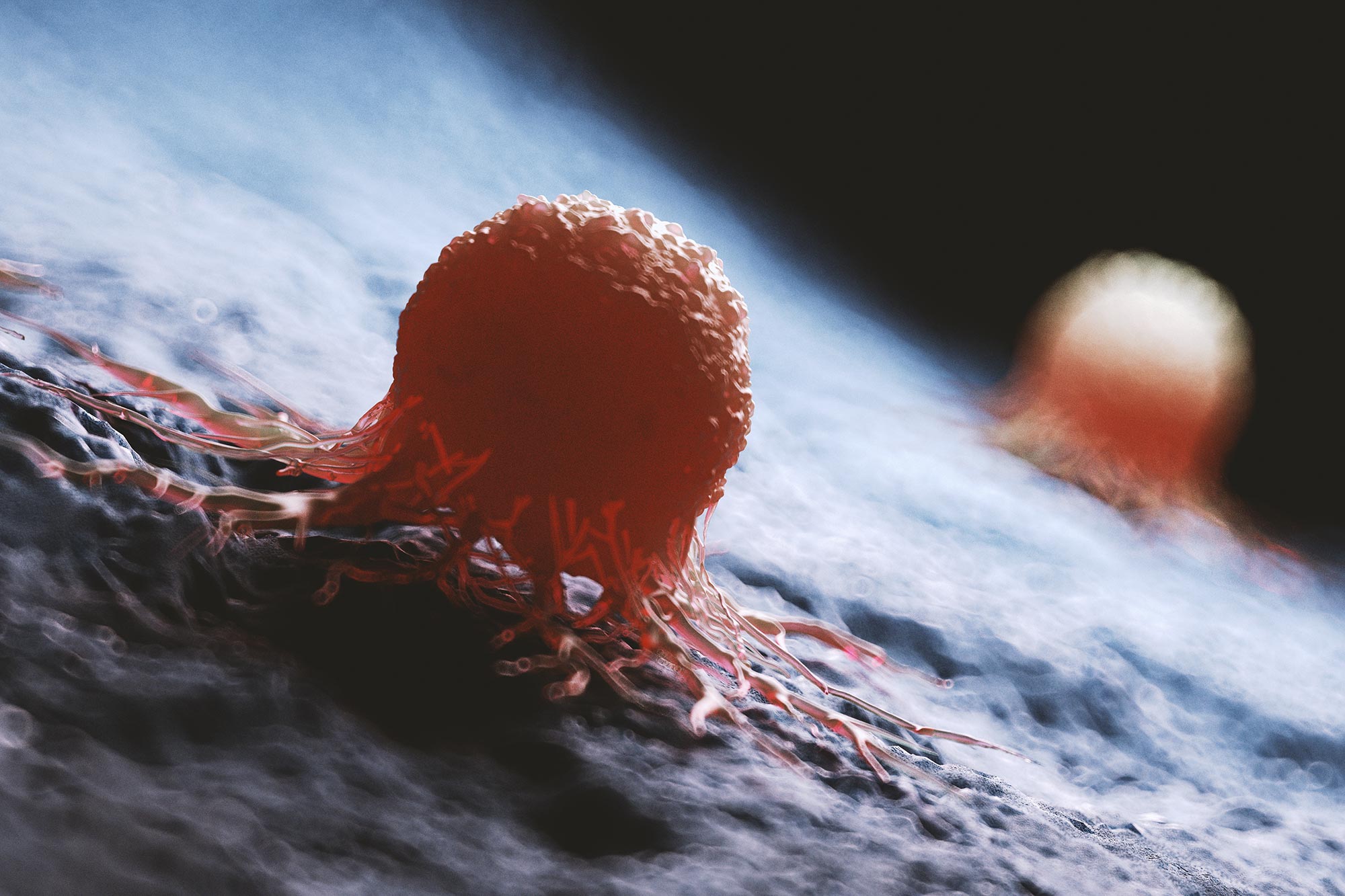 New Diet Slows Growth of Lethal Brain Tumors in Mice