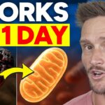 The Best Fasting Method to Enhance Lifespan and Mitochondria