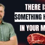 Uncovering Hidden Fiber in the Carnivore Diet for Gut Health