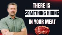 Uncovering Hidden Fiber in the Carnivore Diet for Gut Health
