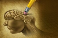 Rising Memory Issues: Adults Under 40 Face Brain Fog Epidemic