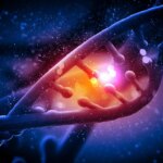 Scientists Identify New Genetic Cause of Muscle Weakness