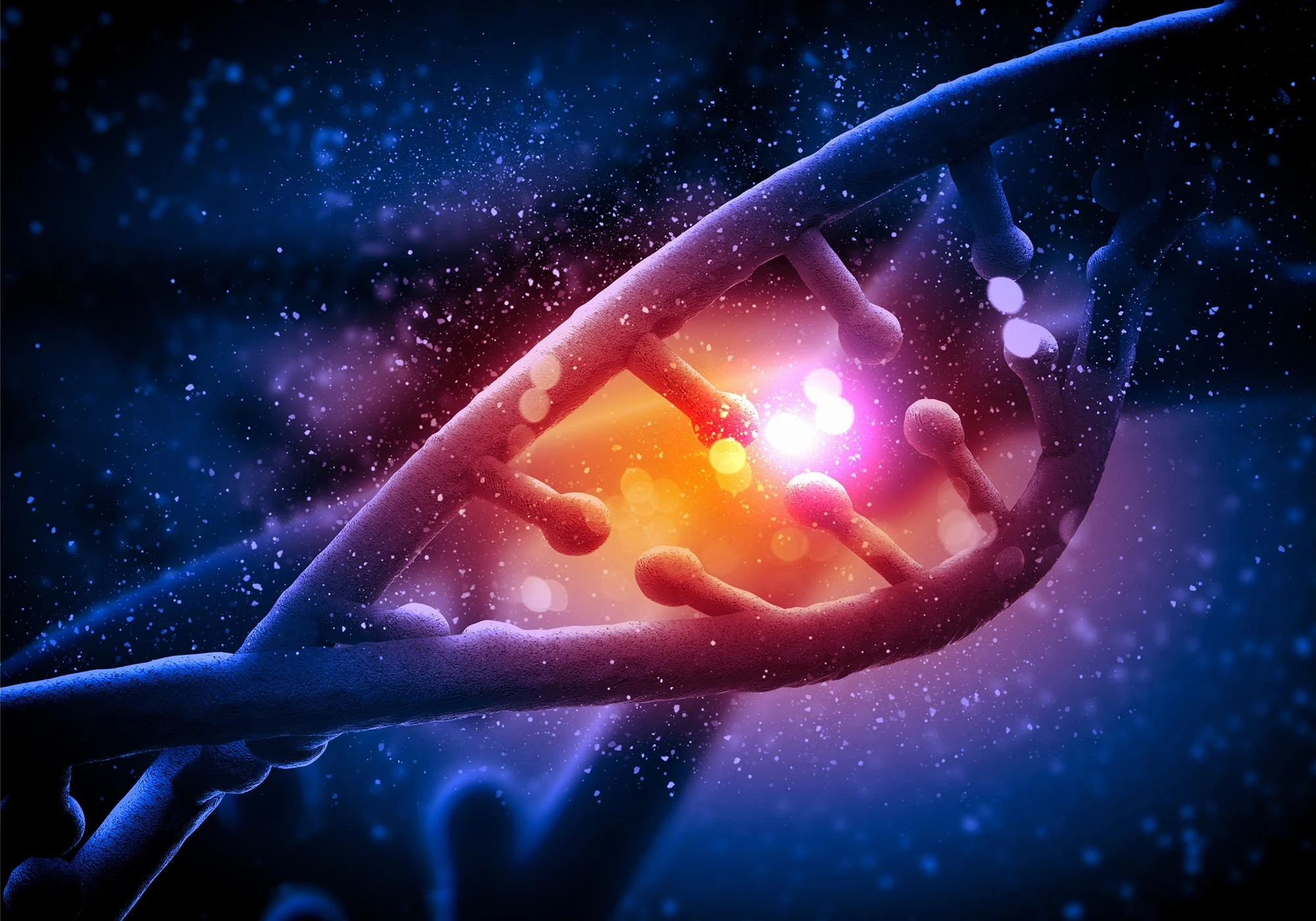 Scientists Identify New Genetic Cause of Muscle Weakness