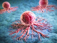 Scientists Uncover How Leukemia Cells Evade Treatment