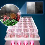 New Light Therapy Destroys 92% of Skin Cancer Cells Safely