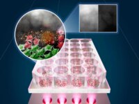 New Light Therapy Destroys 92% of Skin Cancer Cells Safely