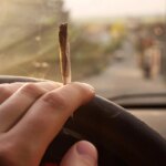 Over 40% of Fatal Crash Drivers Exceeded Legal THC Limits